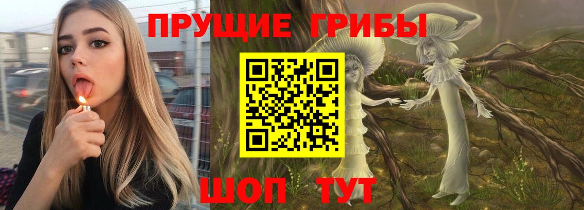 Галлюциногенные грибы прущие грибы Нижнеудинск